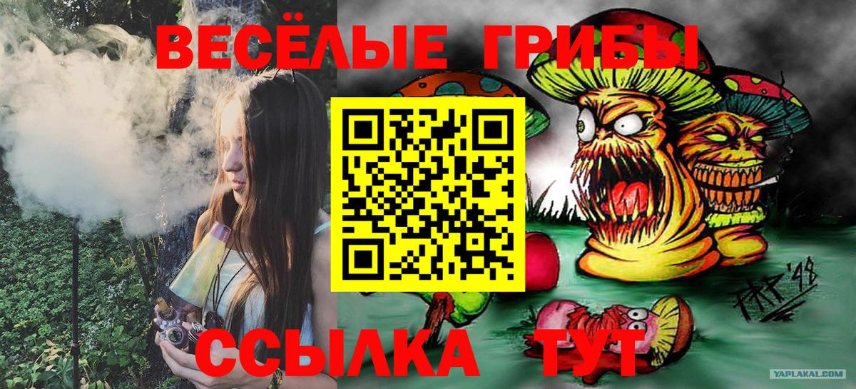 Галлюциногенные грибы мухоморы Шатура