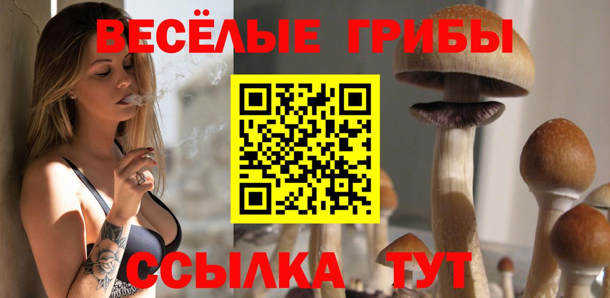 Шатура  Галлюциногенные грибы MAGIC MUSHROOMS  Вход с VPN 